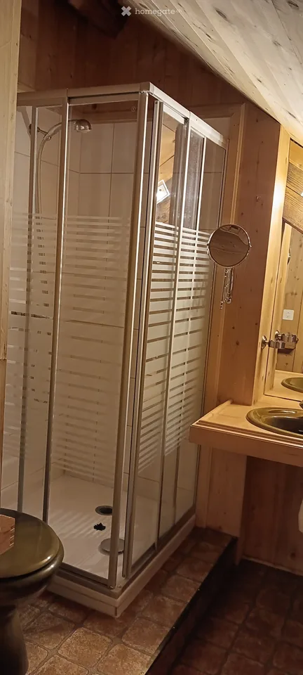 Incantevole appartamento di 3 locali ristrutturato in un ambiente verde – Les Vieux-Prés