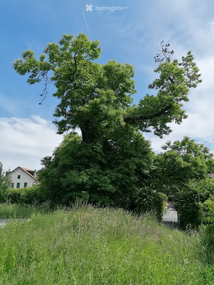Leben im Austausch von Räumen und gemeinsamer Zeit