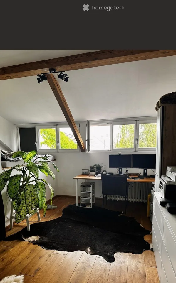 Sonnige Dachloft mit Südterrasse
