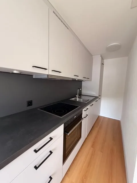 Premier location après rénovation – Appartement moderne 4.5 pièces à Trimbach