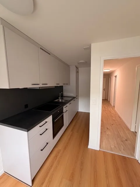 Premier location après rénovation – Appartement moderne 4.5 pièces à Trimbach