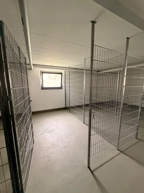 Premier loyer après rénovation – Appartement moderne 3.5 pièces à Trimbach