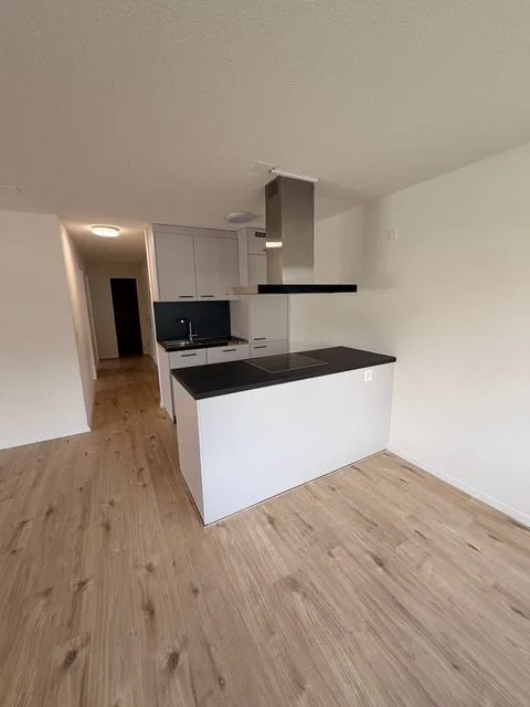 Premier loyer après rénovation – Appartement moderne 3.5 pièces à Trimbach