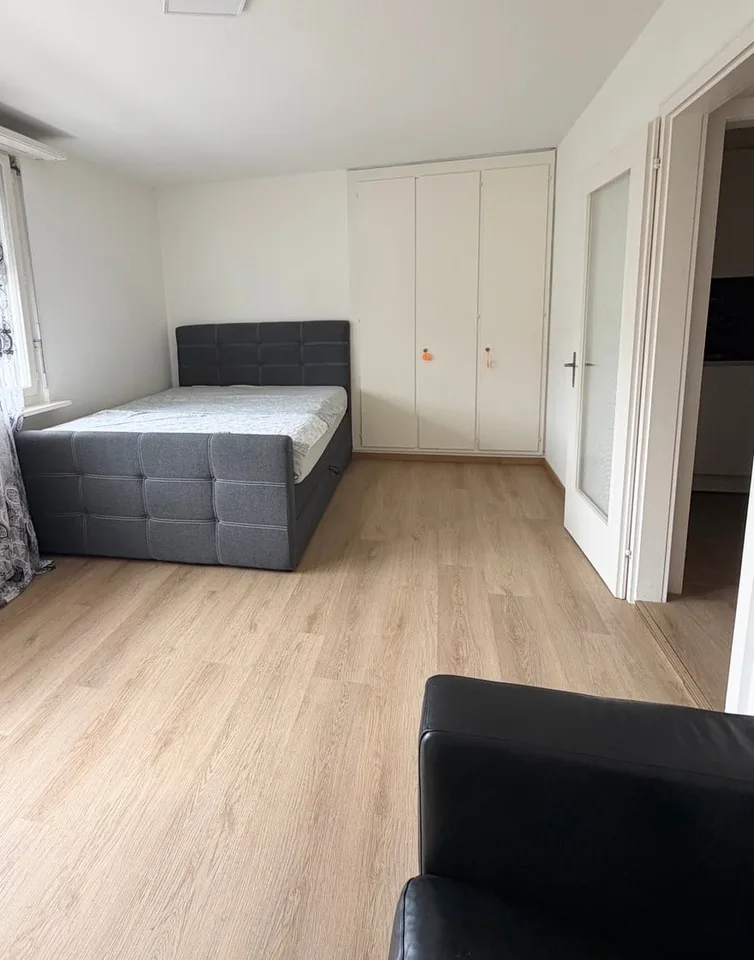 1 Zimmer Wohung zu Vermieten – photo 3 sur 9