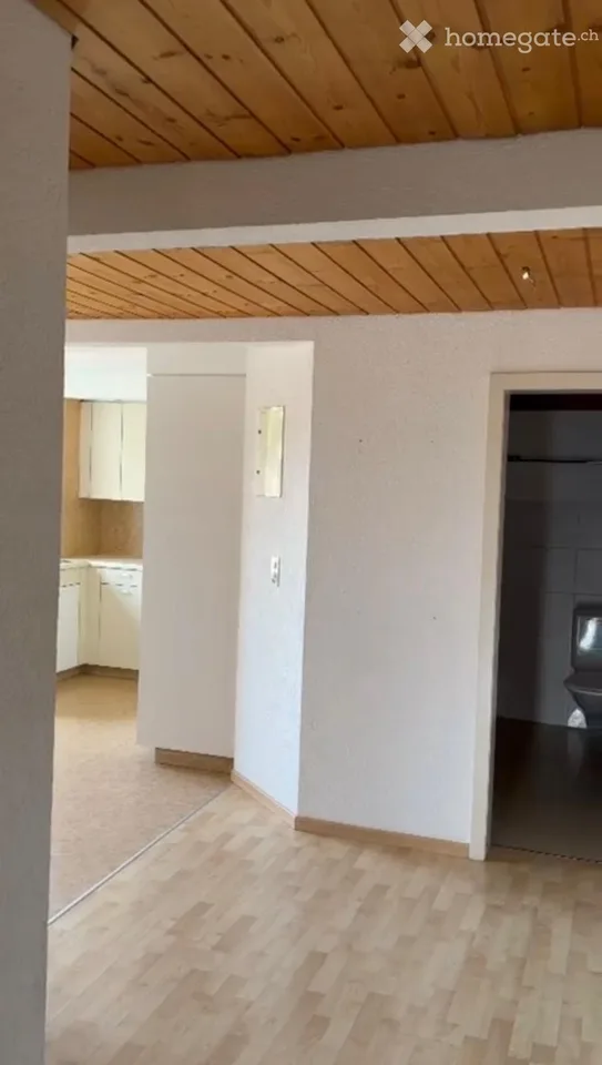 Wohnung hell & grosszügig - Nähe Rhein / Altstadt SH
