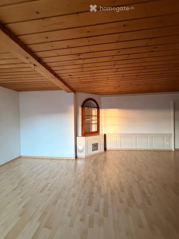 Wohnung hell & grosszügig - Nähe Rhein / Altstadt SH