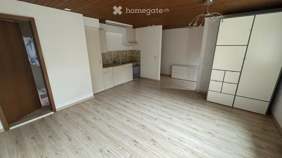 Cozy 1.5-room apartment with terrace
