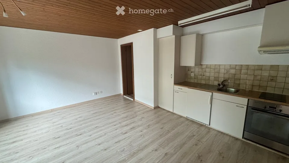 Cozy 1.5-room apartment with terrace