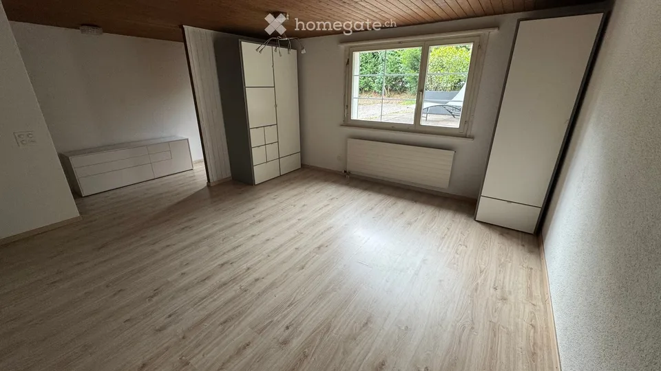 Cozy 1.5-room apartment with terrace