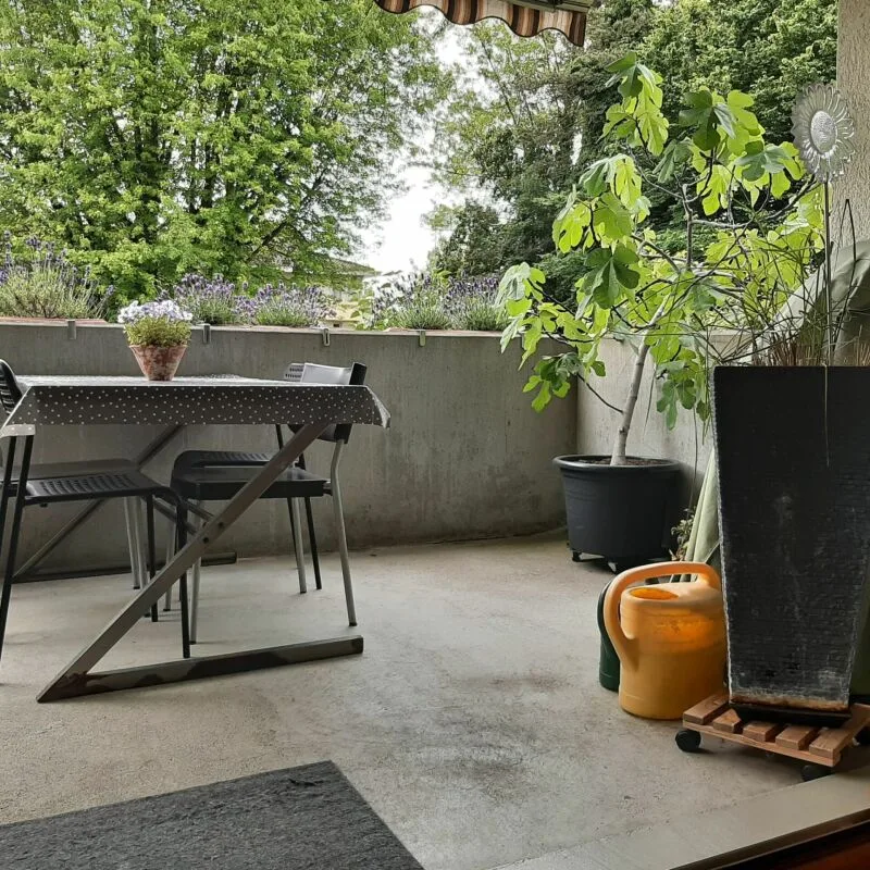 Spacious 4.5-room apartment in a green location