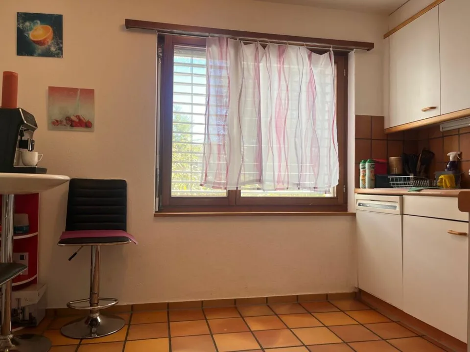 Spacious 4.5-room apartment in a green location