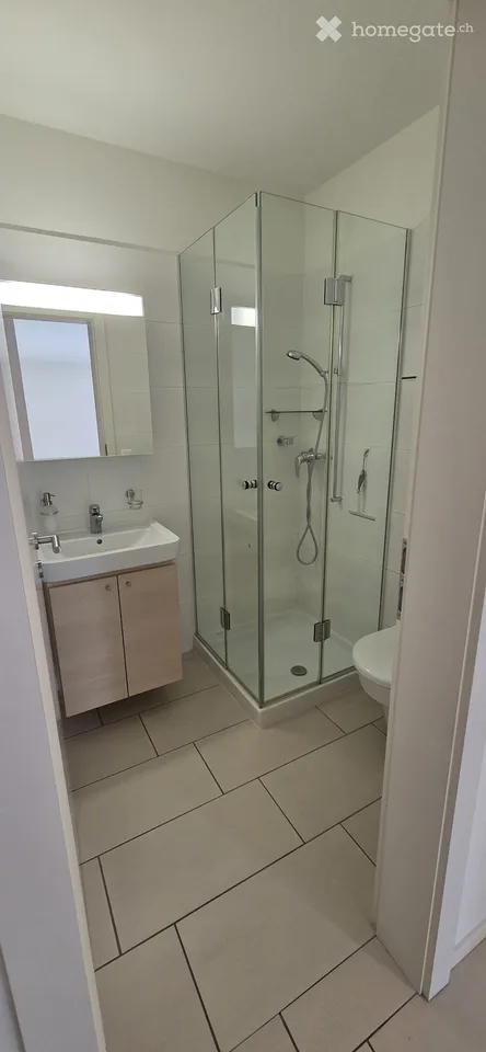 Moderno 4.5 Locali con terrazzo coperto – Disponibile da subito