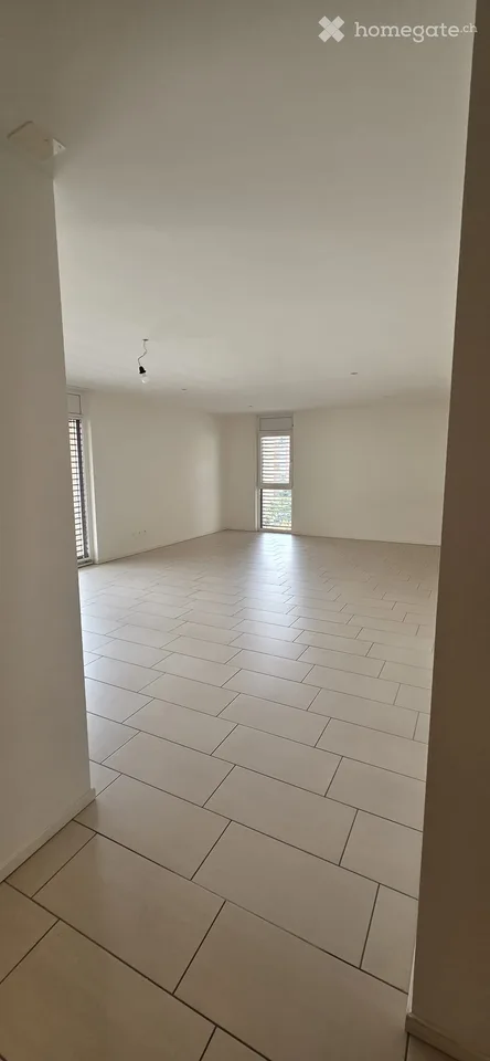 Moderno 4.5 Locali con terrazzo coperto – Disponibile da subito