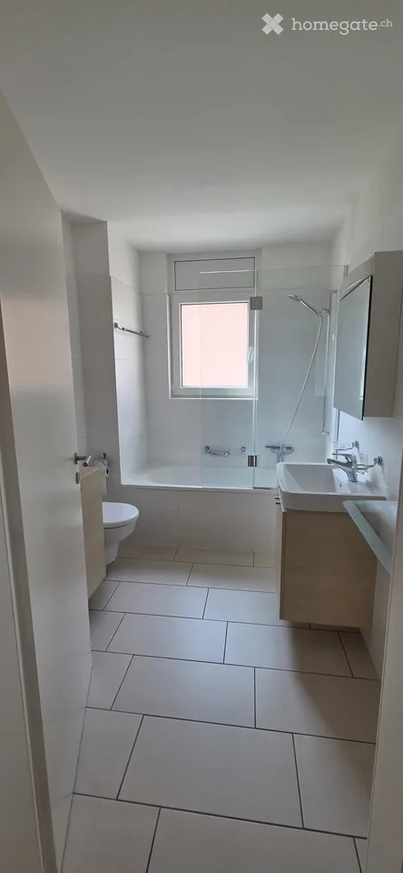 Moderno 4.5 Locali con terrazzo coperto – Disponibile da subito