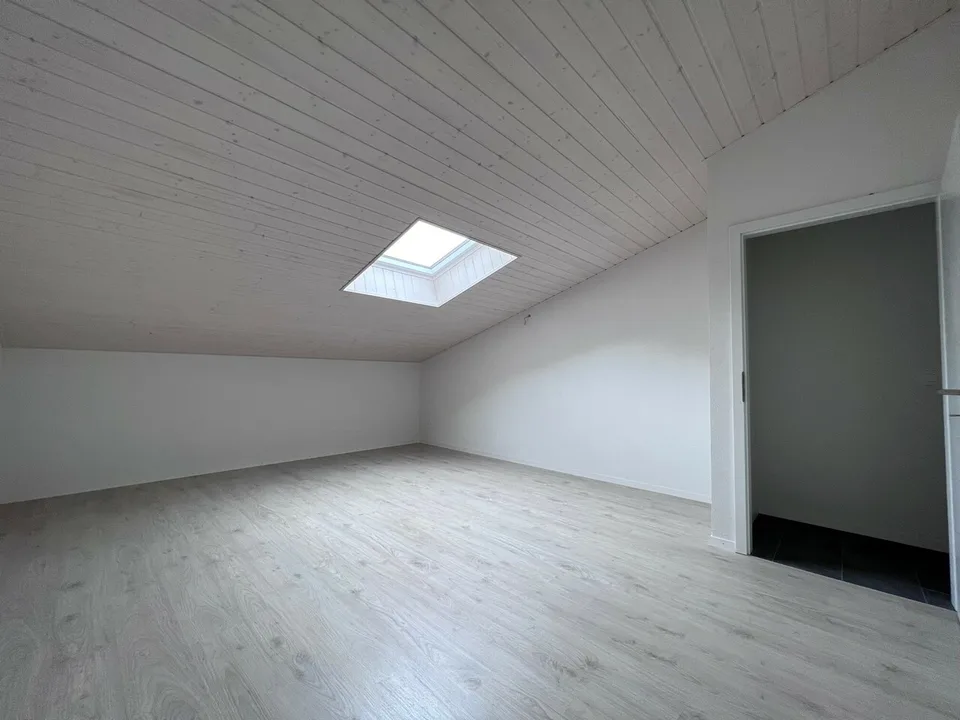 Magnifique 4.5 pièces en duplex