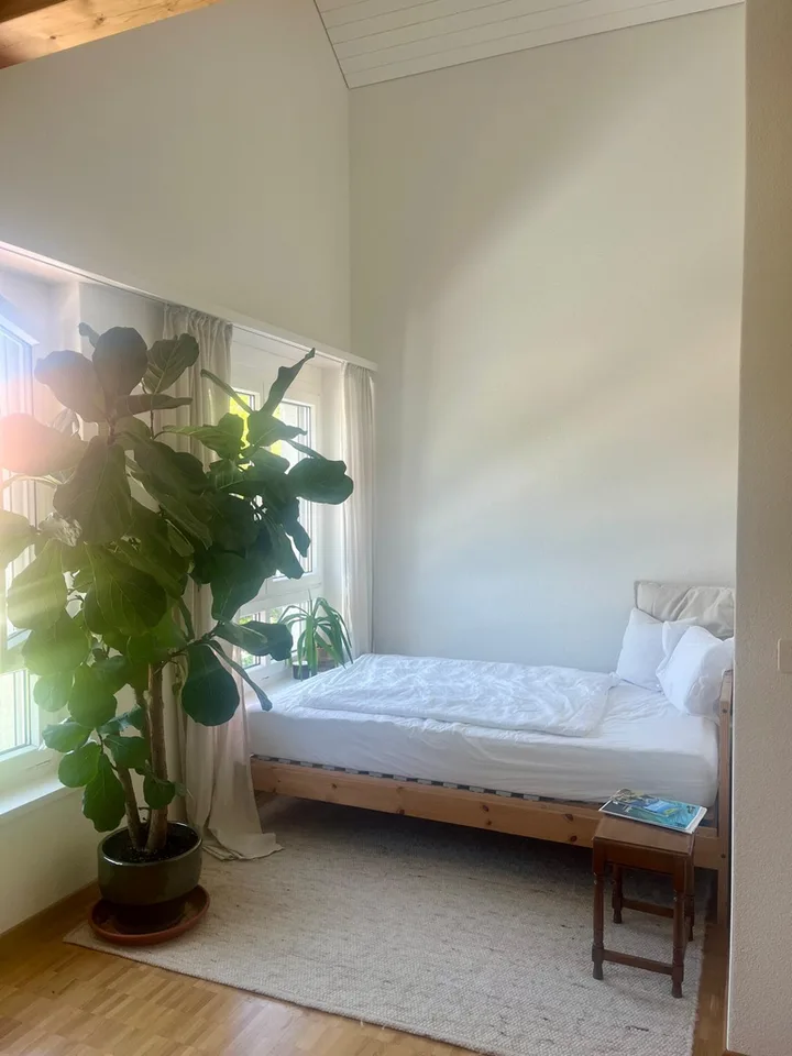 Cozy 3.5-room attic apartment with charm