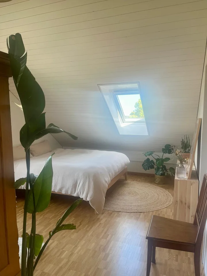Cozy 3.5-room attic apartment with charm