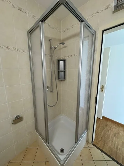Mietwohnung 5.5 Zimmer Dachgeschoß mit Seeblick in Viganello – Foto 24 von 28