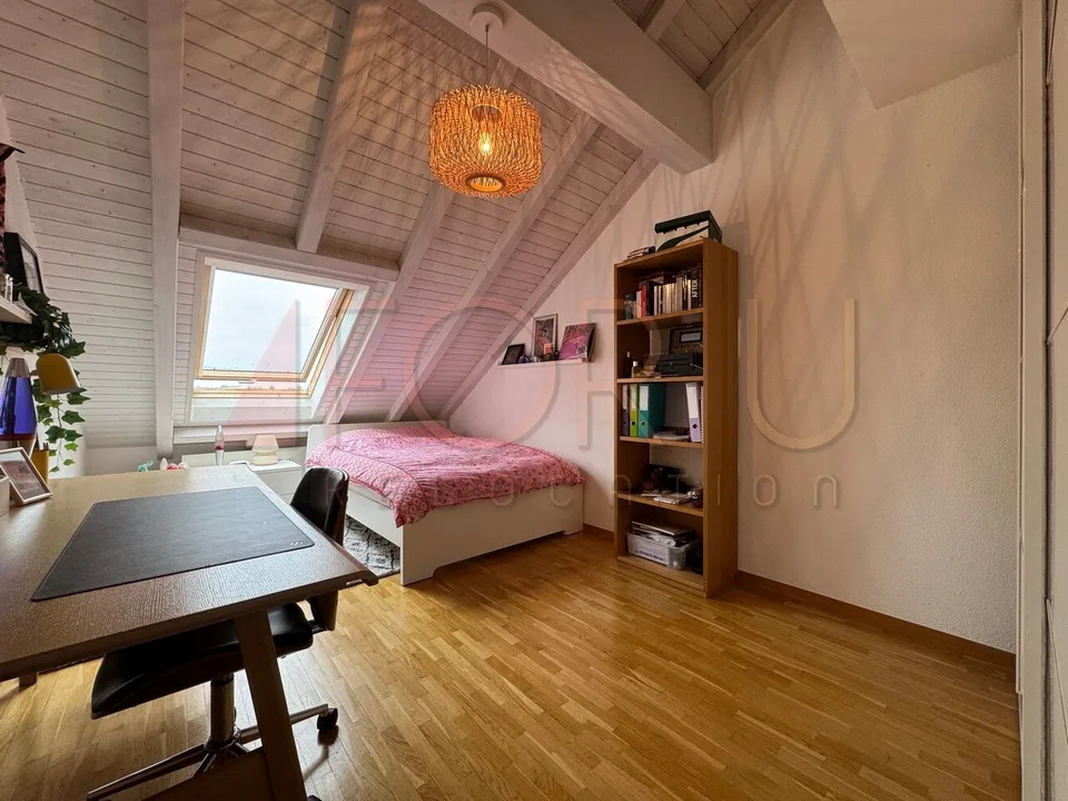 Einzigartig, schön und großes 6.5-Zimmer-Dreispänner-Attikawohnung in Plan-les-Ouates