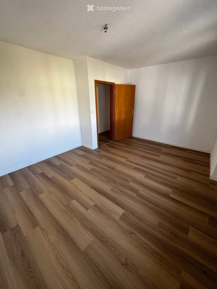 Ampio appartamento 4.5 locali in una posizione superba da affittare!