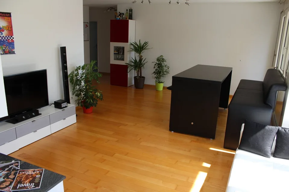 L'appartamento perfetto, non lontano dal centro città di Baden