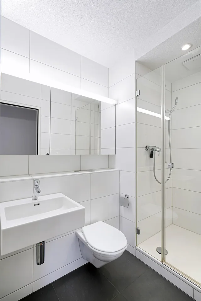 4.5 Zimmer Wohnung in Dornach | UrbanHome