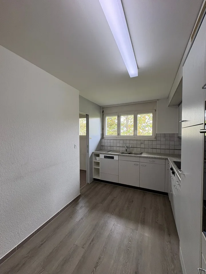 Renovierte helle 4.5-Zimmer-Dachgeschosswohnung mit Balkon in Bassersdorf