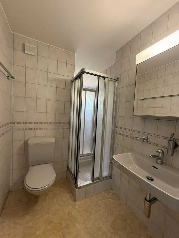 Renovierte helle 4.5-Zimmer-Dachgeschosswohnung mit Balkon in Bassersdorf