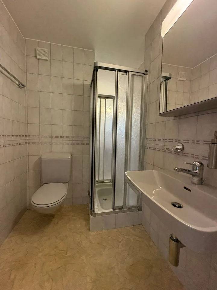 Renovierte helle 4.5-Zimmer-Dachgeschosswohnung mit Balkon in Bassersdorf