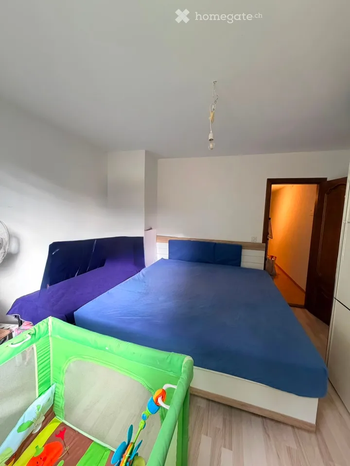 Spacious apartment in Coppet