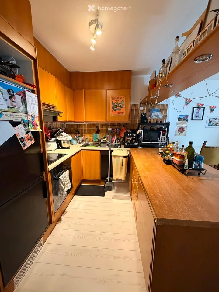 Spacious apartment in Coppet