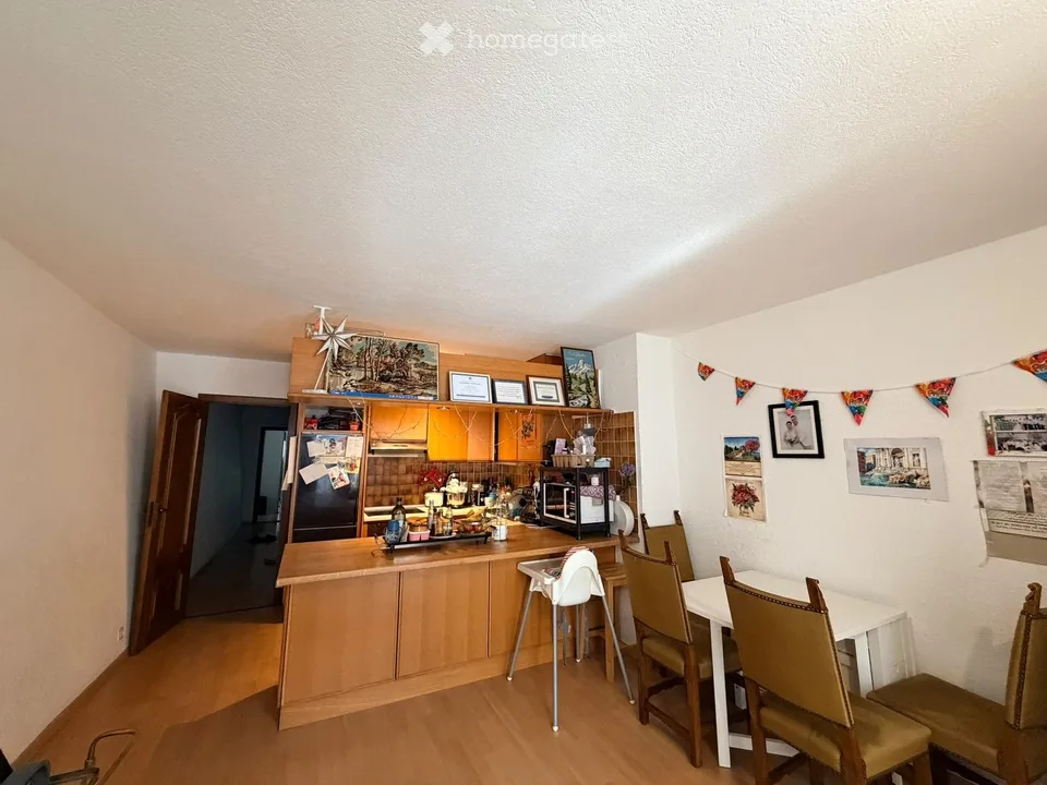 Spacious apartment in Coppet