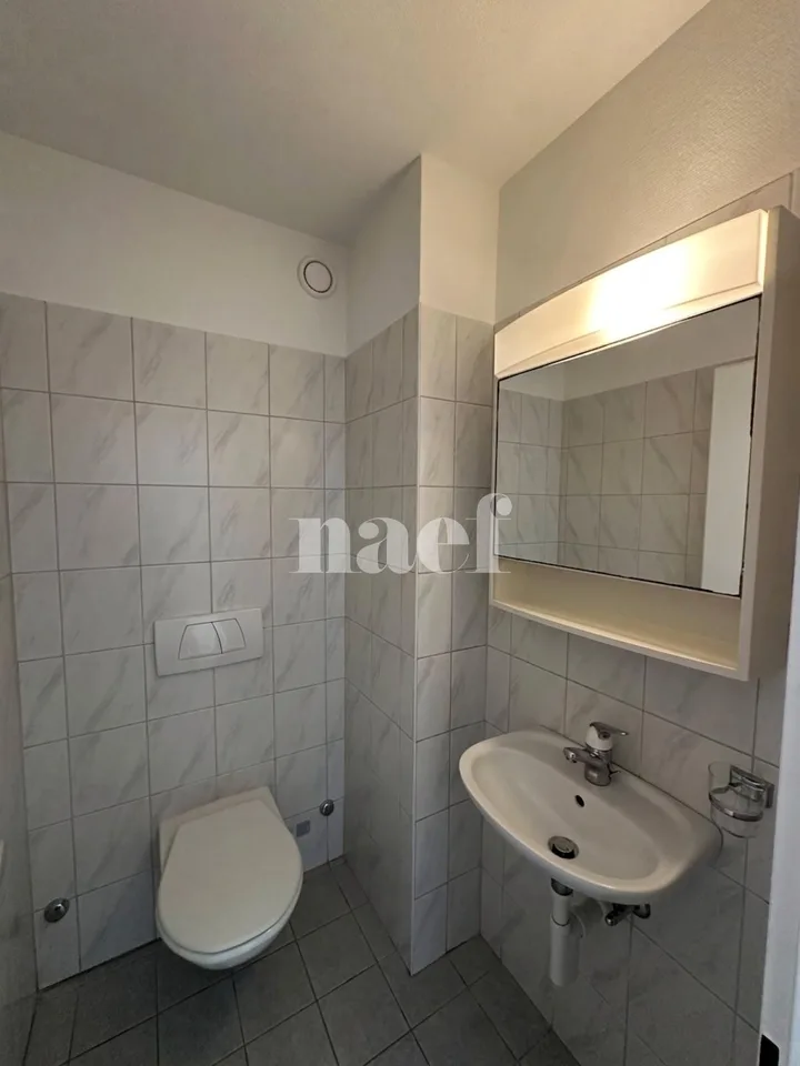 Appartement 4.5 pièces