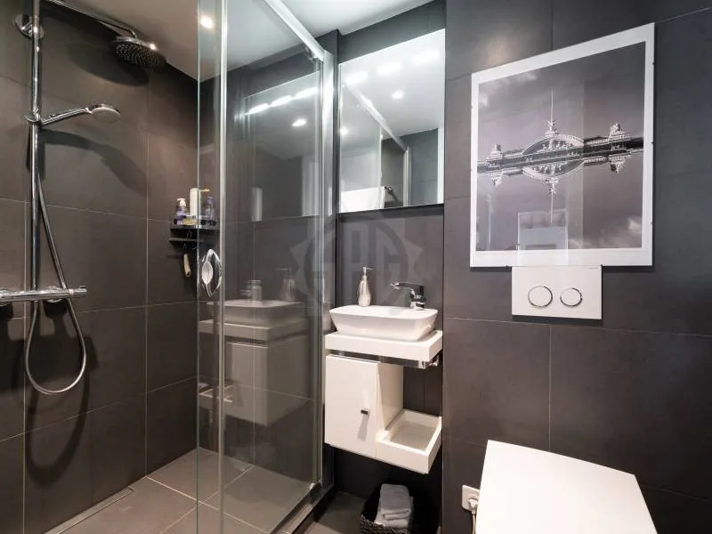 Gemütliche Wohnung - Chêne-Bourg – Foto 7 von 24