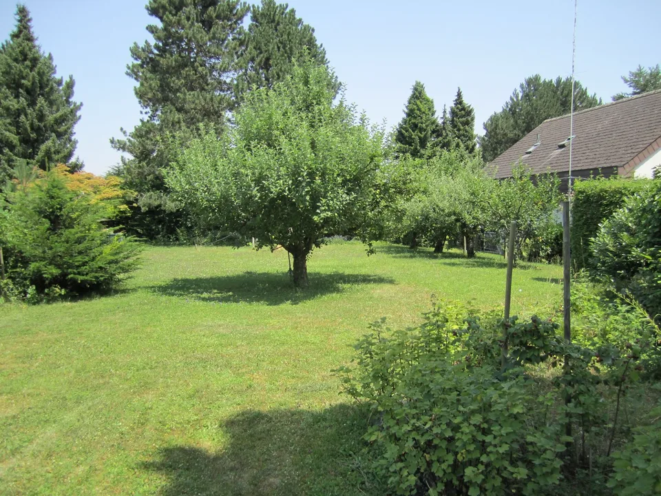 Occasion rare au Rosenberg 788 m² de terrain à bâtir en situation idéale – photo 3 sur 4
