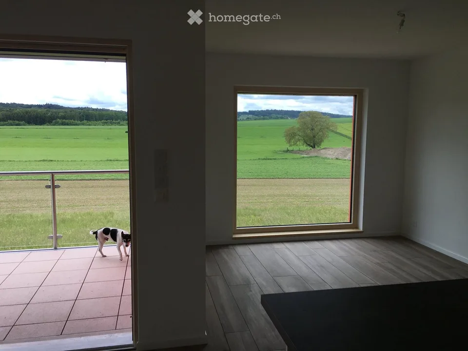 Schönes Apartment nahe dem Murtensee und dem Bahnhof (5 min)