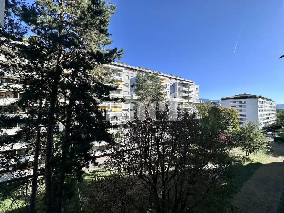 Vier-Zimmer-Wohnung mit innerem Parkplatz in Champel – Foto 9 von 39