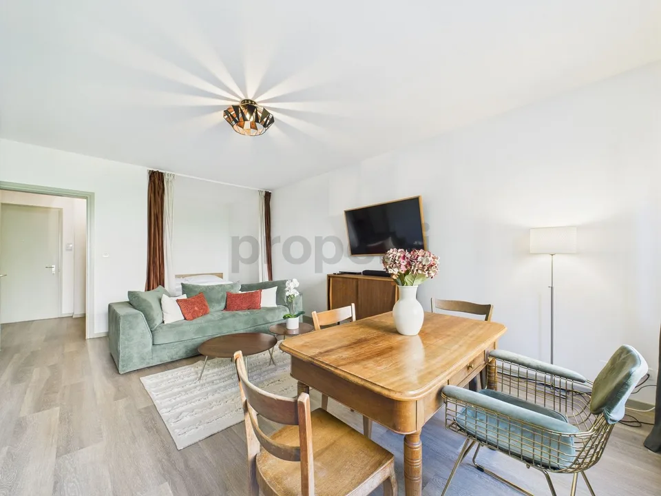 Studio confortable à Ascona – photo 11 sur 18