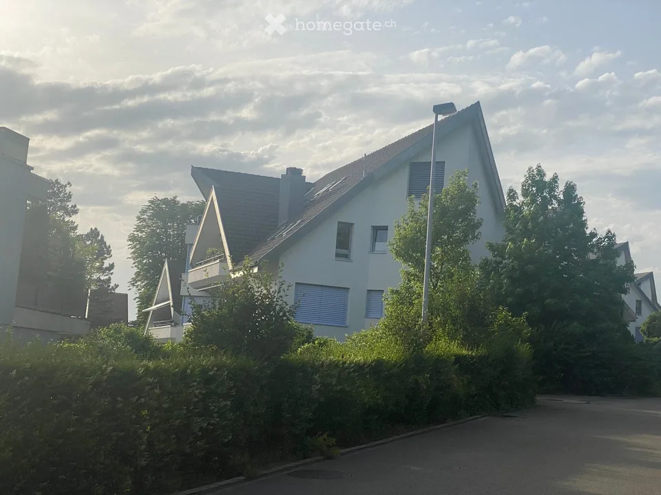 Spacious 4.5-Room Apartment in Affoltern am Albis with a view of the Mountains