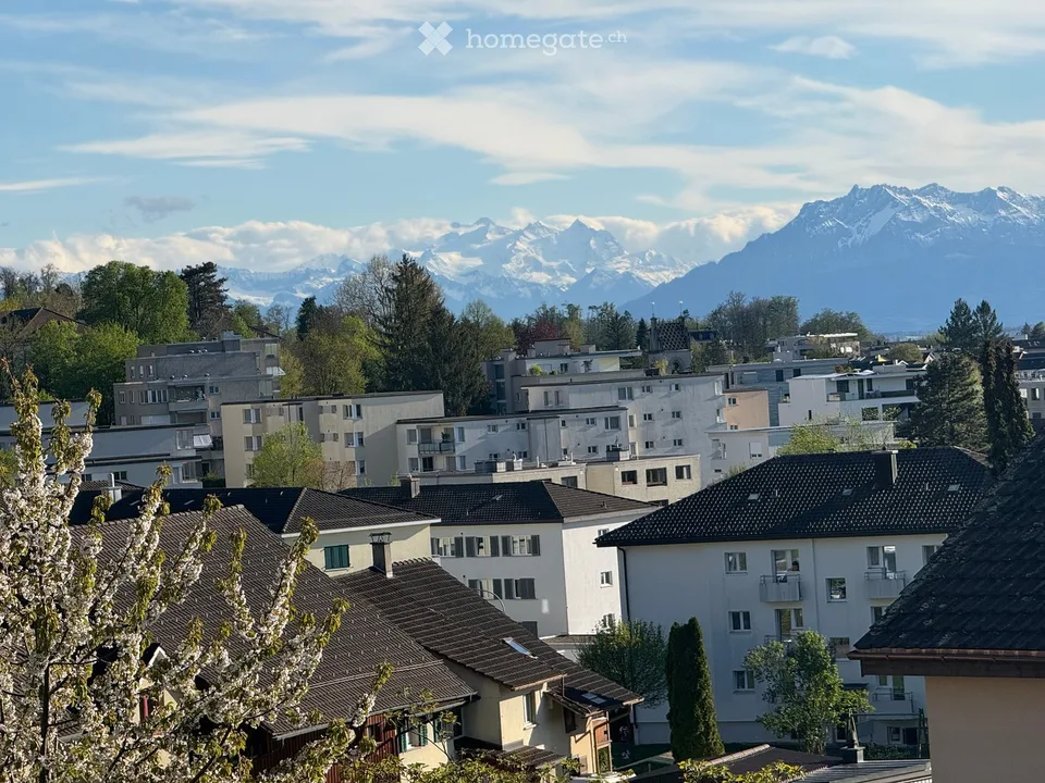 Spacious 4.5-Room Apartment in Affoltern am Albis with a view of the Mountains