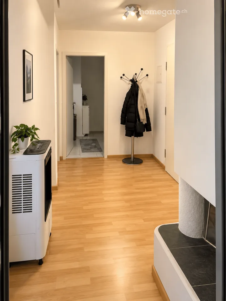 Appartamento di charme 2.5 locali con camino, balcone e due bagni a Möhlin