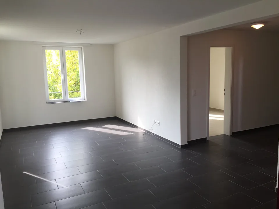 Charmante 4.5-Zimmer-Wohnung mit Balkon in Kradolf-Schönenberg