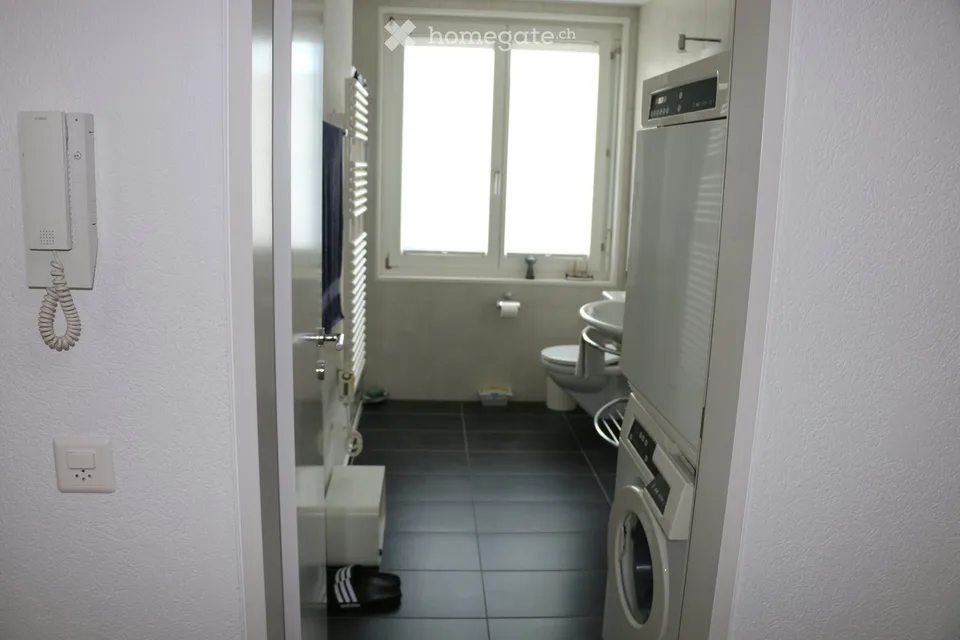 Appartement lumineux 4,5 pièces au dernier étage avec ascenseur et vue panoramique dans le centre villageois calme de Schwyz