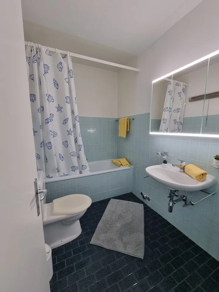 Wunderschöne 1.5 Zi-Wohnung mit Balkon in Ascona