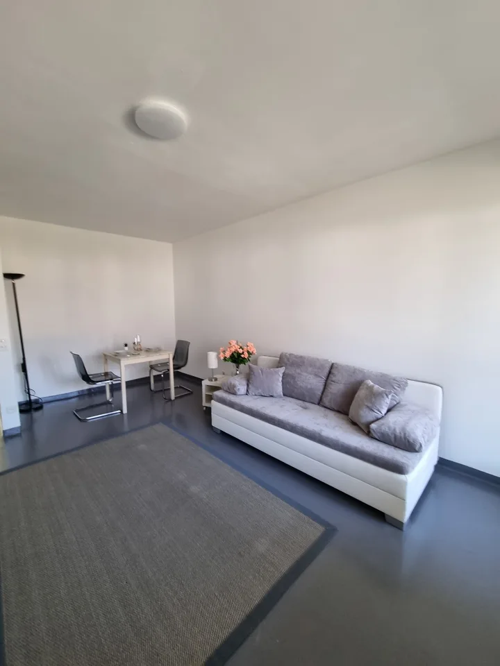 Wunderschöne 1.5 Zi-Wohnung mit Balkon in Ascona