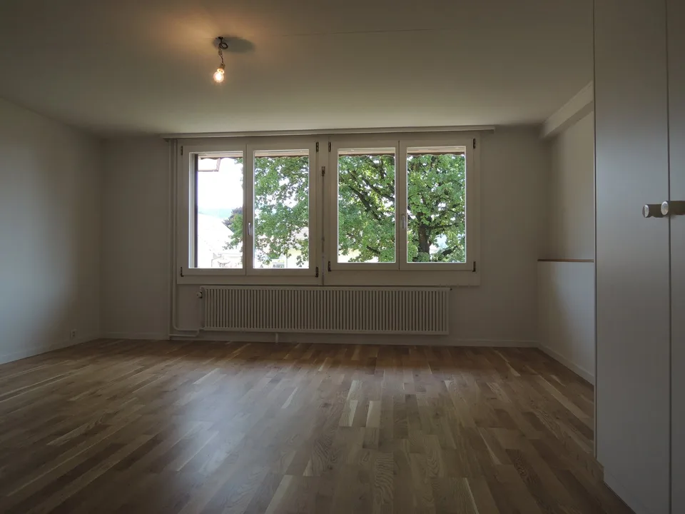Charming 3-room apartment in Zollbrück