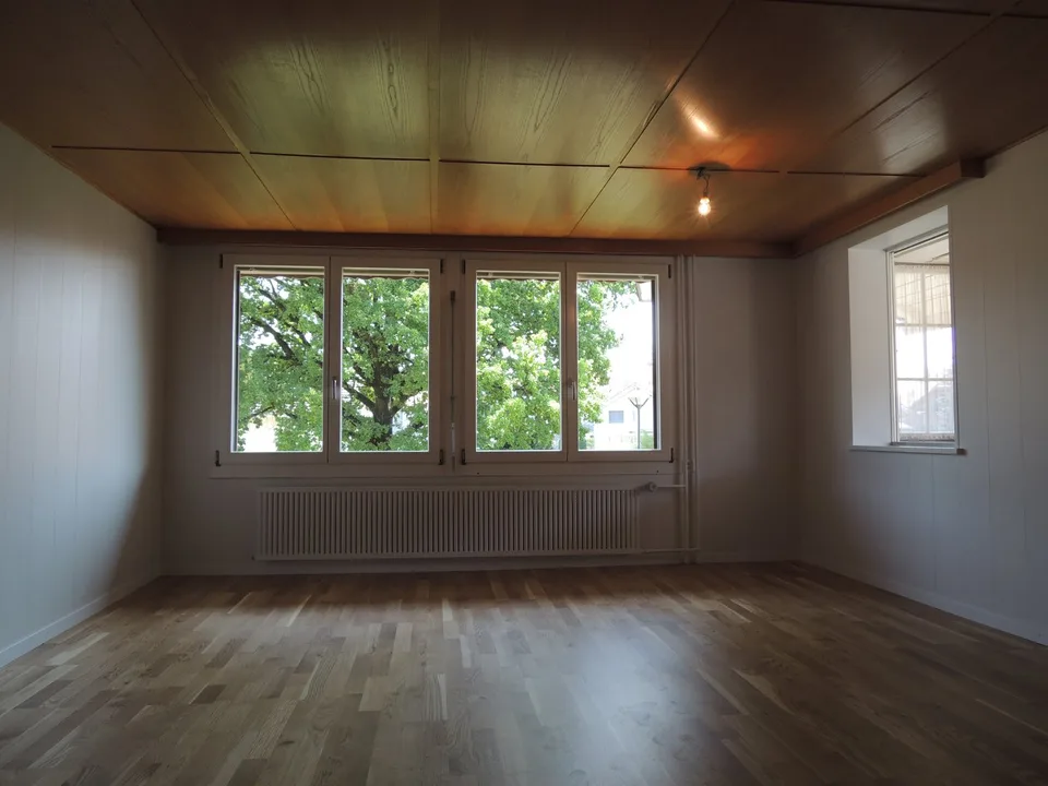 Charming 3-room apartment in Zollbrück