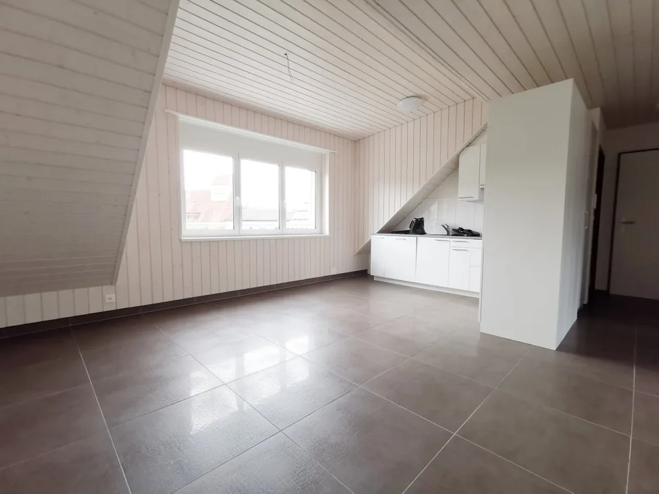 Modern 3-room attic apartment on Aarauerstrasse in Olten