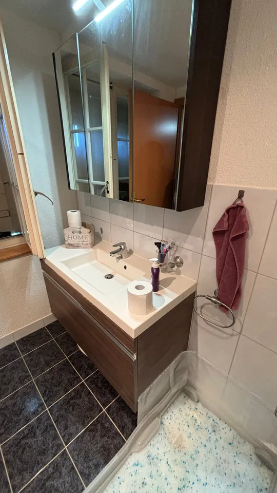 Cozy apartment seeks new tenant