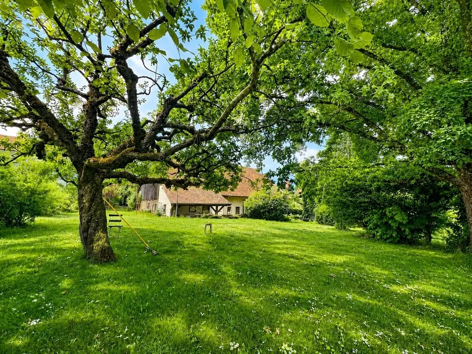 Un'opportunità rara a Villars-Mendraz, una proprietà da reinventare – foto 4 di 8